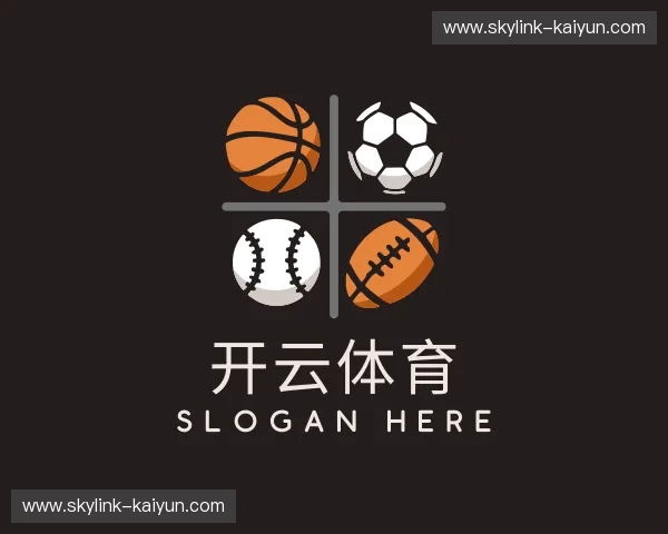 介绍开云体育官网